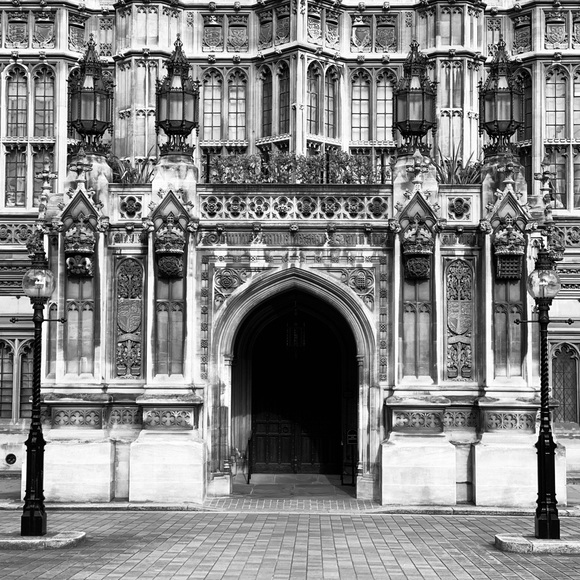 Meet your Posher, Tifani - Picture 1 of 1